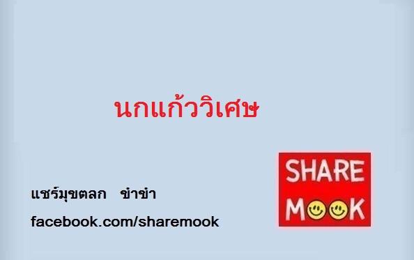 นกแก้ววิเศษ