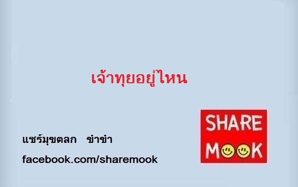 เจ้าทุยอยู่ไหน