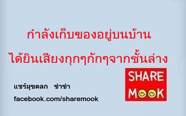 กำลังเก็บของอยู่บนบ้าน ได้ยินเสียงกุกๆกักๆจากชั้นล่าง